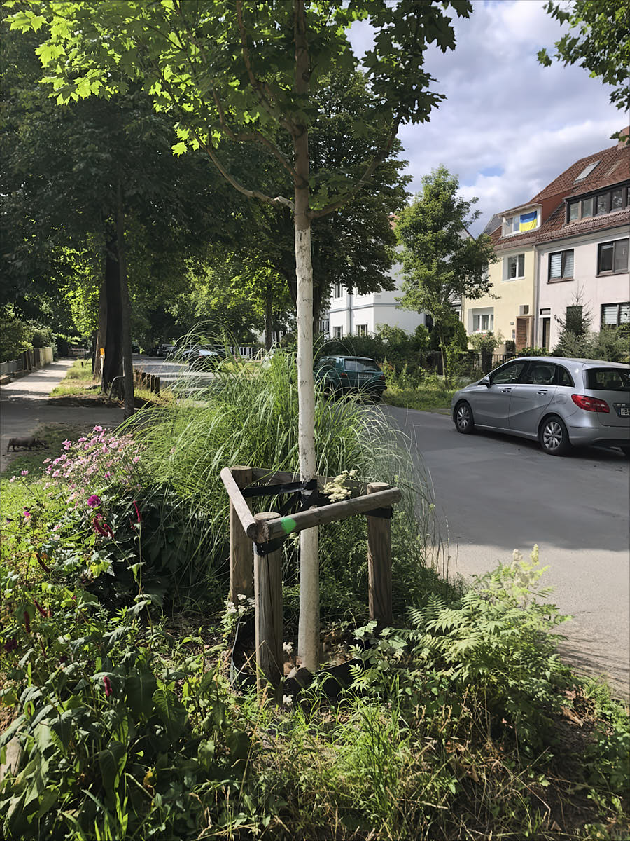 Jungbaum konventionell mit Holzpfahl gesichert