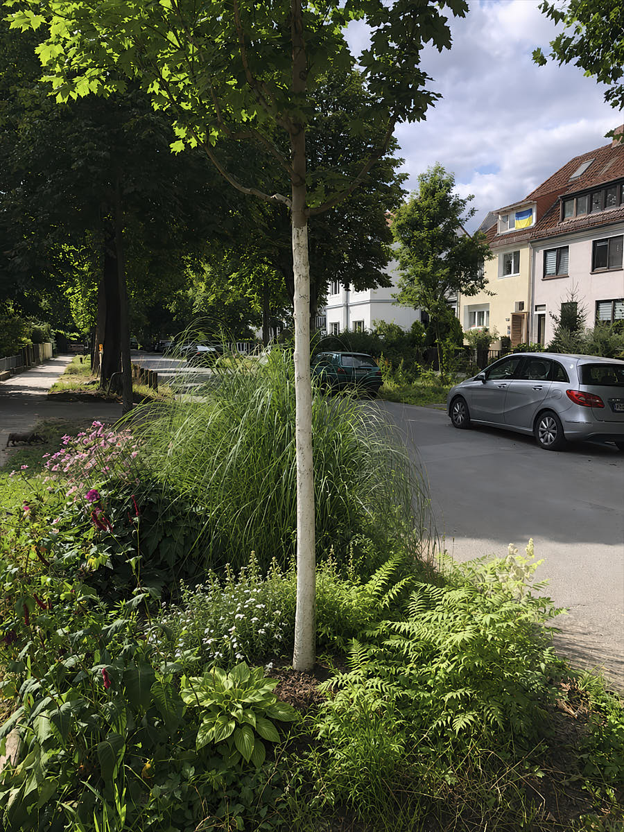 Jungbaum ohne Pfahl, unterirdisch mit Meyerdiercks Erdanker verankert