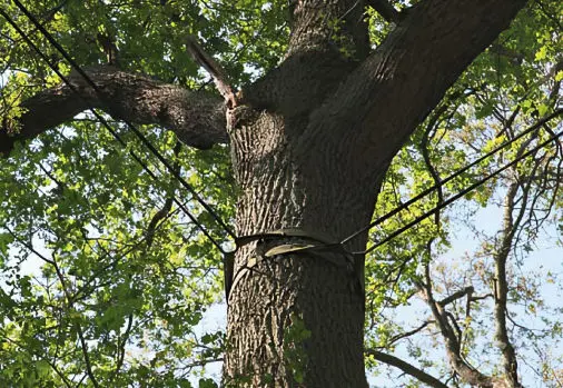 Großbaumsicherung