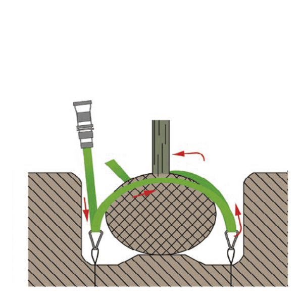 Wurzelballen verspannen